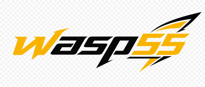 wasp55